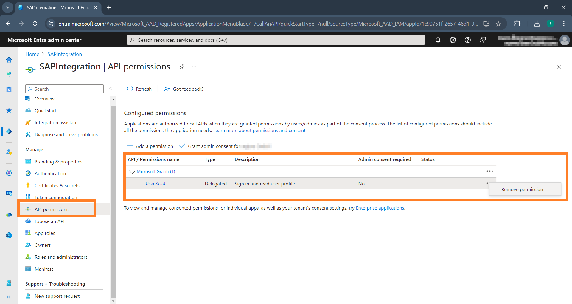 MS Entra ID API: API Persmissions 1